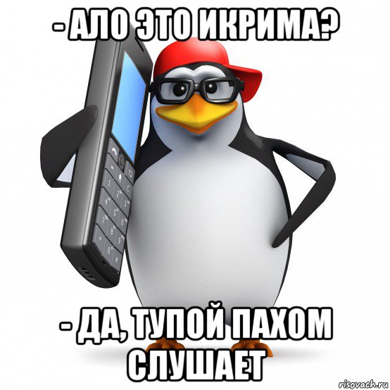 - ало это икрима? - да, тупой пахом слушает, Мем   Пингвин звонит