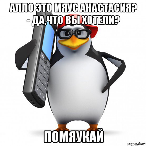 алло это мяус анастасия? - да,что вы хотели? помяукай, Мем   Пингвин звонит