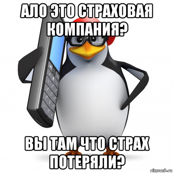 ало это страховая компания? вы там что страх потеряли?, Мем   Пингвин звонит