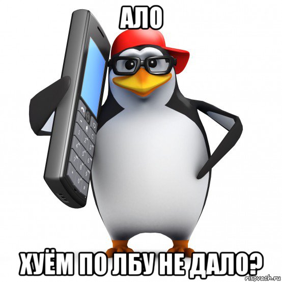 ало хуём по лбу не дало?, Мем   Пингвин звонит