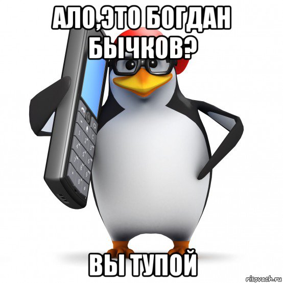 ало,это богдан бычков? вы тупой, Мем   Пингвин звонит