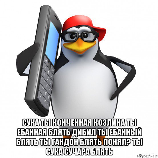  сука ты конченная козлина ты ебанная блять дибил ты ебанный блять ты гандон блять понял? ты сука сучара блять, Мем   Пингвин звонит