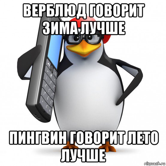 верблюд говорит зима лучше пингвин говорит лето лучше, Мем   Пингвин звонит