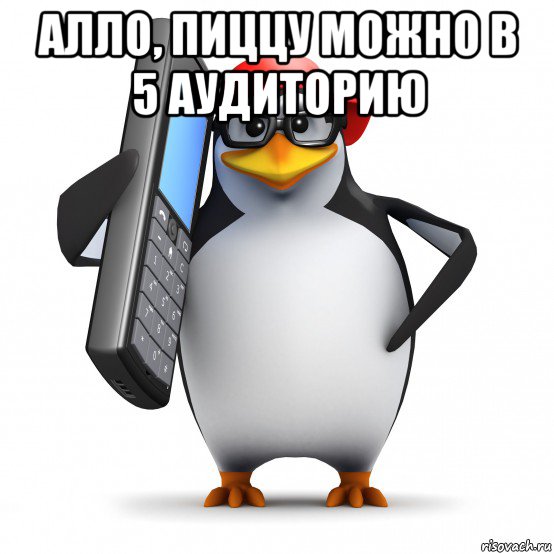 алло, пиццу можно в 5 аудиторию , Мем   Пингвин звонит