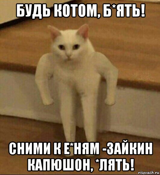 будь котом, б*ять! сними к е*ням -зайкин капюшон, *лять!, Мем  Полукот