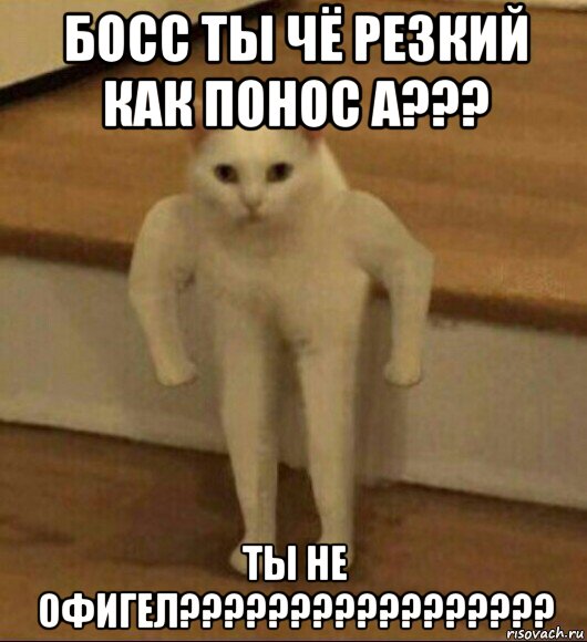 босс ты чё резкий как понос а??? ты не офигел?????????????????, Мем  Полукот