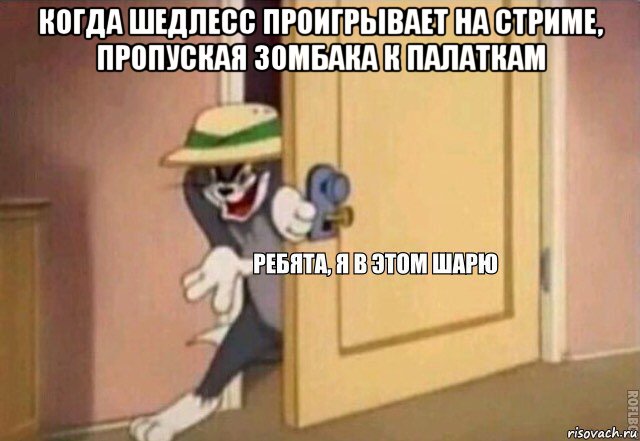 когда шедлесс проигрывает на стриме, пропуская зомбака к палаткам , Мем    Ребята я в этом шарю