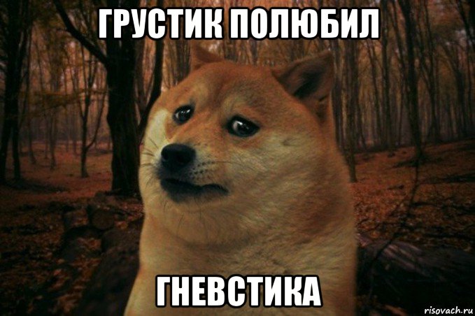 грустик полюбил гневстика, Мем SAD DOGE