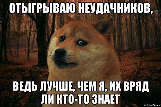 отыгрываю неудачников, ведь лучше, чем я, их вряд ли кто-то знает, Мем SAD DOGE