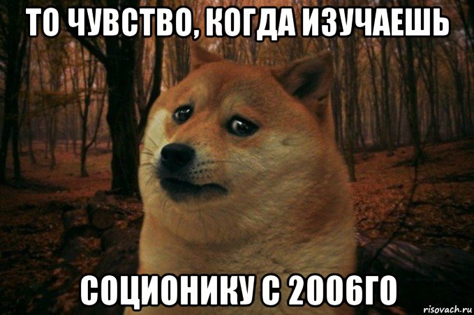 то чувство, когда изучаешь соционику с 2006го, Мем SAD DOGE