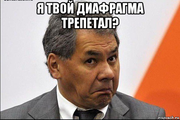 я твой диафрагма трепетал? 