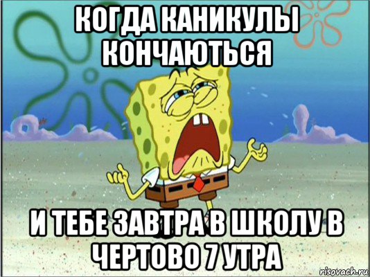 когда каникулы кончаються и тебе завтра в школу в чертово 7 утра, Мем Спанч Боб плачет