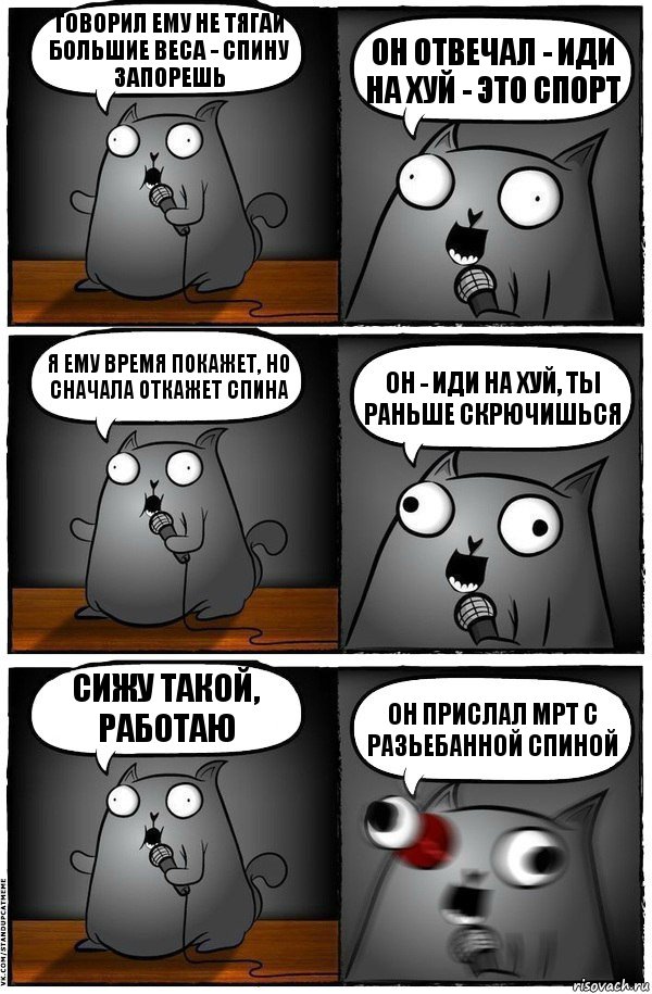 Говорил ему не тягай большие веса - спину запорешь Он отвечал - иди на хуй - это спорт Я ему время покажет, но сначала откажет спина Он - иди на хуй, ты раньше скрючишься Сижу такой, работаю Он прислал мрт с разьебанной спиной, Комикс  Стендап-кот