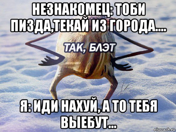 незнакомец: тоби пизда,текай из города.... я: иди нахуй, а то тебя выебут..., Мем  Так блэт птица с руками