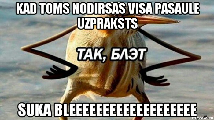 kad toms nodirsas visa pasaule uzpraksts suka bleeeeeeeeeeeeeeeeeee, Мем  Так блэт