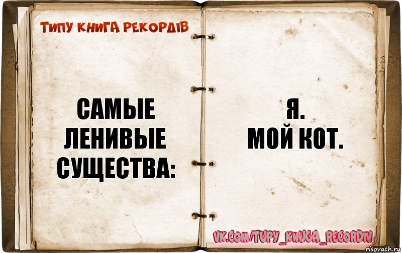 Самые Ленивые существа: Я.
Мой кот.