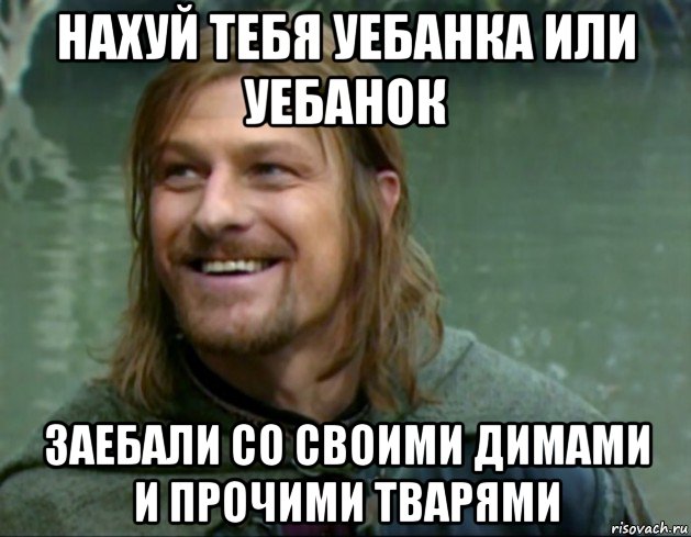 нахуй тебя уебанка или уебанок заебали со своими димами и прочими тварями, Мем Тролль Боромир