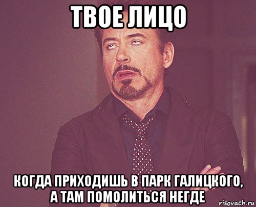 твое лицо когда приходишь в парк галицкого, а там помолиться негде, Мем твое выражение лица