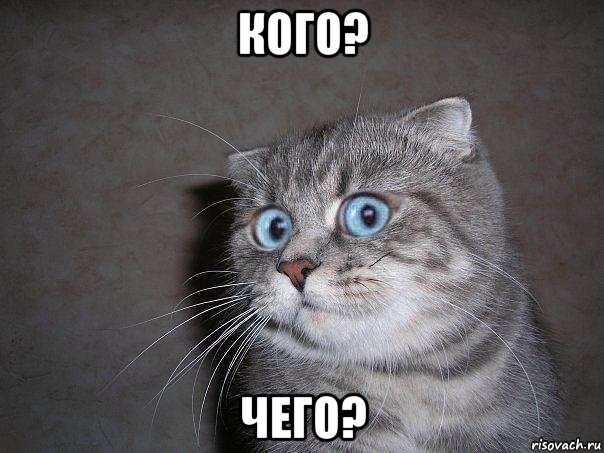 кого? чего?