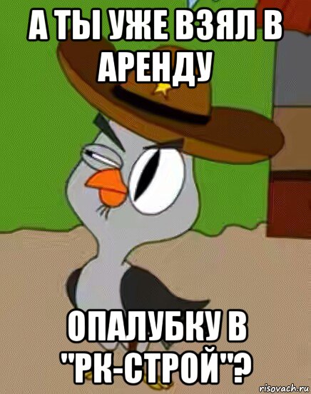 а ты уже взял в аренду опалубку в "рк-строй"?, Мем    Упоротая сова