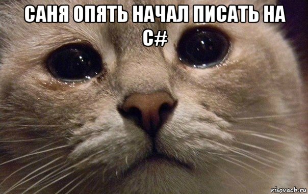 саня опять начал писать на c# , Мем   В мире грустит один котик