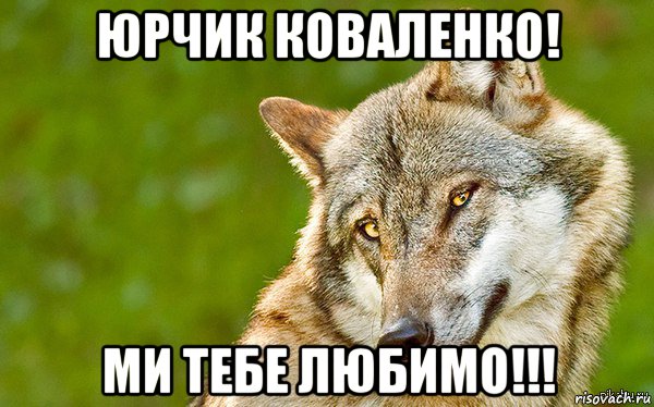 юрчик коваленко! ми тебе любимо!!!, Мем   Volf