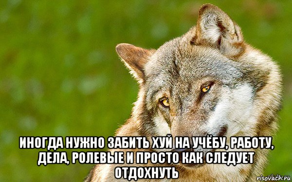  иногда нужно забить хуй на учёбу, работу, дела, ролевые и просто как следует отдохнуть