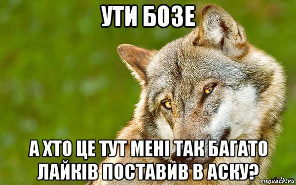 ути бозе а хто це тут мені так багато лайків поставив в аску?, Мем   Volf