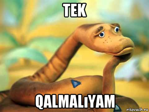 tek qalmalıyam, Мем  задумчивый удав