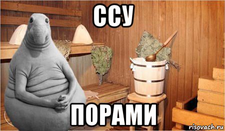 ссу порами, Мем  Ждун в бане