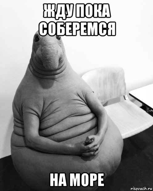 жду пока соберемся на море, Мем  Ждун