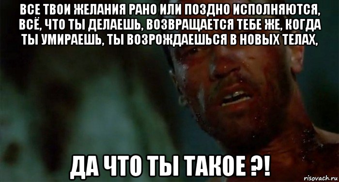 все твои желания рано или поздно исполняются, всё, что ты делаешь, возвращается тебе же, когда ты умираешь, ты возрождаешься в новых телах, да что ты такое ?!, Мем Что ты такое