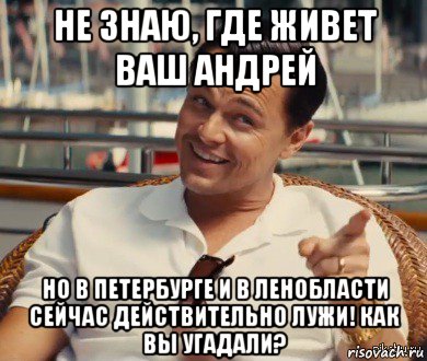 не знаю, где живет ваш андрей но в петербурге и в ленобласти сейчас действительно лужи! как вы угадали?, Мем Хитрый Гэтсби