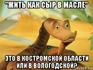 "жить как сыр в масле" это в костромской области или в вологодской?, Мем  Удав Каа задумался