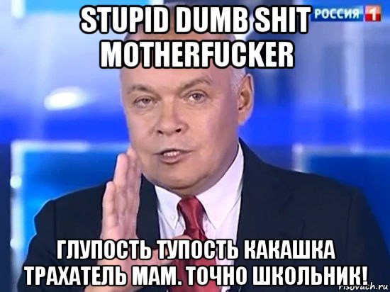 stupid dumb shit motherfucker глупость тупость какашка трахатель мам. точно школьник!