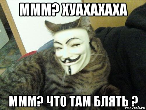 ммм? хуахахаха ммм? что там блять ?, Мем Кот анонимус