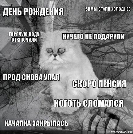 день рождения скоро пенсия ничего не подарили качалка закрылась прод снова упал зимы стали холоднее ноготь сломался горячую воду отключили  , Комикс  кот безысходность