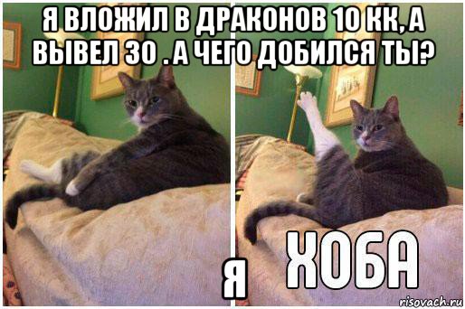 я вложил в драконов 10 кк, а вывел 30 . а чего добился ты? я, Комикс Кот Хоба