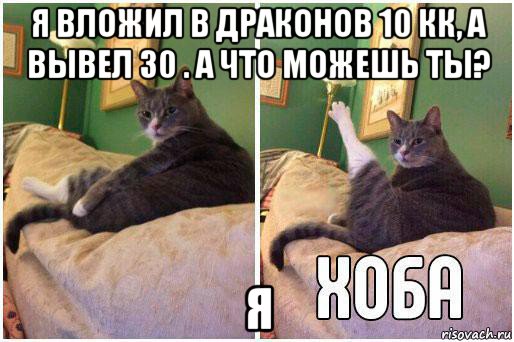 я вложил в драконов 10 кк, а вывел 30 . а что можешь ты? я, Комикс Кот Хоба