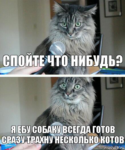 Спойте что нибудь? Я ебу собаку всегда готов сразу трахну несколько котов, Комикс  кот с микрофоном