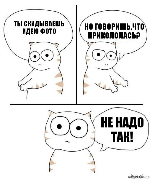 ты скидываешь идею фото но говоришь,что прикололась? НЕ НАДО ТАК!, Комикс Не надо так кот