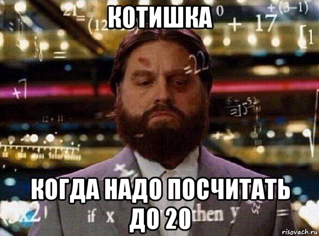 котишка когда надо посчитать до 20