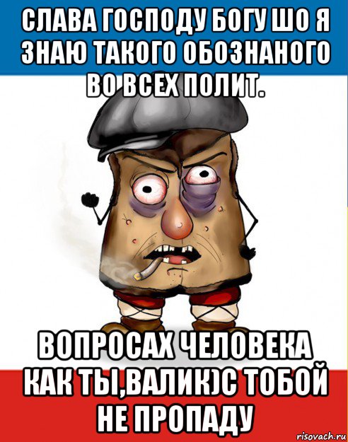 слава господу богу шо я знаю такого обознаного во всех полит. вопросах человека как ты,валик)с тобой не пропаду, Мем малорашка
