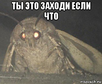 ты это заходи если что 