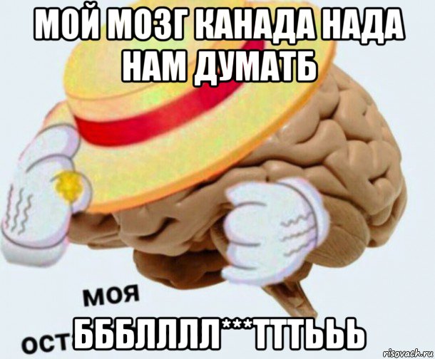 мой мозг канада нада нам думатб ббблллл***тттььь, Мем   Моя остановочка мозг