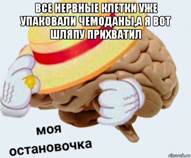 все нервные клетки уже упаковали чемоданы,а я вот шляпу прихватил , Мем   Моя остановочка мозг