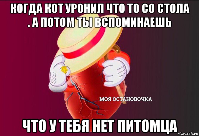 когда кот уронил что то со стола . а потом ты вспоминаешь что у тебя нет питомца, Мем   Моя остановочка