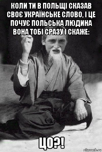 коли ти в польщі сказав своє українське слово, і це почує польська людина вона тобі сразу і скаже: цо?!, Мем Мудрий паца