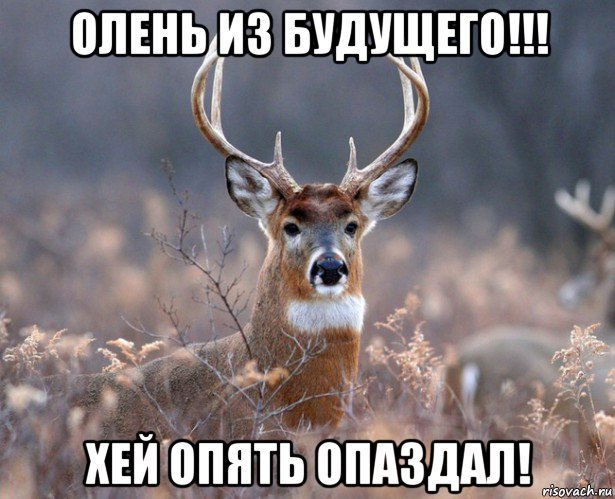 олень из будущего!!! хей опять опаздал!, Мем   Наивный олень