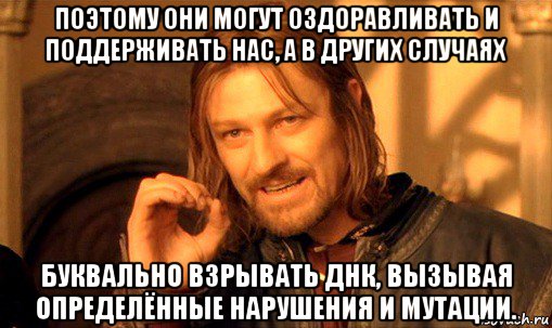 поэтому они могут оздоравливать и поддерживать нас, а в других случаях буквально взрывать днк, вызывая определённые нарушения и мутации., Мем Нельзя просто так взять и (Боромир мем)